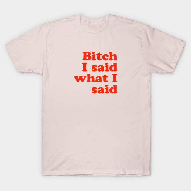 Bitch I said what I said T-Shirt by Serenitea Rose